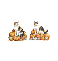 Cat Sits On Pumpkin Autumn Clipart Isolated