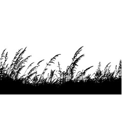 Field Grass Silhouette 3