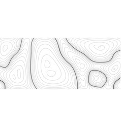 Abstract Line Background Topographic Contour Map