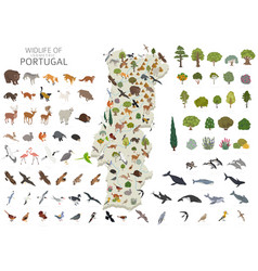 Isometric 3d Design Portugal Wildlife Animals