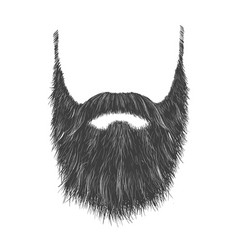 Long Gray Beard