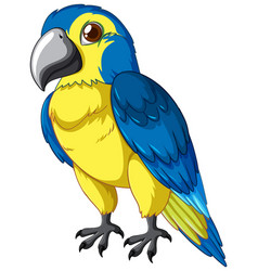 Vibrant Art Of A Blue And Yellow Parrot