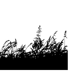 Field Grass Silhouette 4