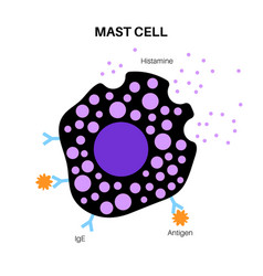 Mast Cell Poster