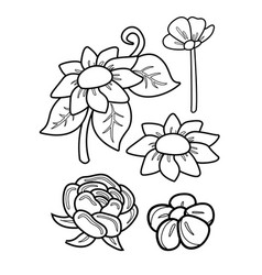 Flower Coloring Pages Kids And Adult