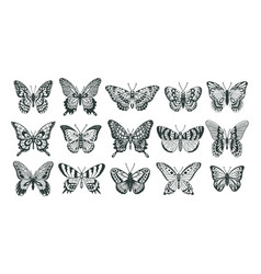 Butterfly Silhouette Cartoon Outline Insect