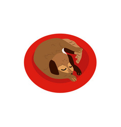 Flat Sleeping Curled Up Dog Pet Icon