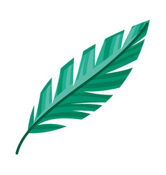 Green Feather