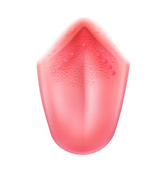 Realistic Human Tongue Close Up Isolated