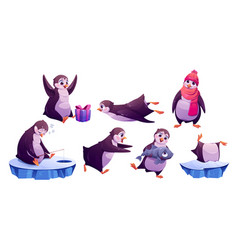 Cute Penguin In Different Poses In Winter