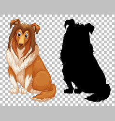 Cute Shetland Sheepdog And Its Silhouette