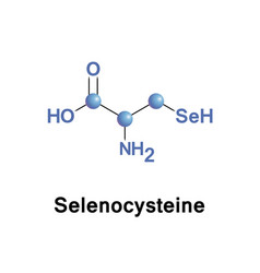 Selenocysteine Is A Cysteine Analogue