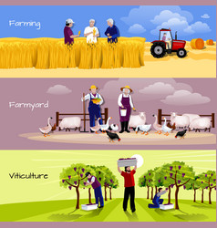 Vineyard Farmyard Crop Harvesting Flat Banners