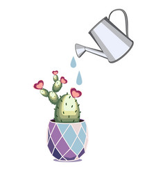 Watering Can With Blossom Cactus