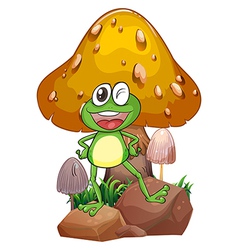 A Smiling Frog Near The Giant Mushroom