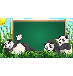 Board Design With Three Pandas On Grass