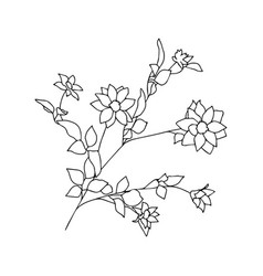 Flower Line Art Minimalist Contour Drawing Line