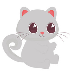 Cute Gray Cat