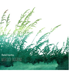 Field Herbs 3 Field Herbs 3