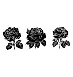 Set Of Black Silhouettes Fresh Rose