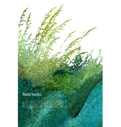 Field Herbs 4