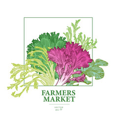 Lettuce Farmers Market Engraved Poster