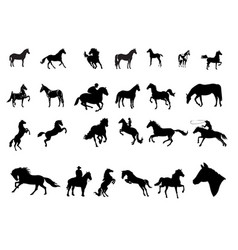 Horse Silhouettes