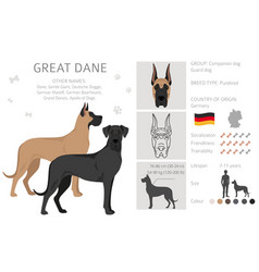 Great Dane Clipart Different Poses Coat Colors Set