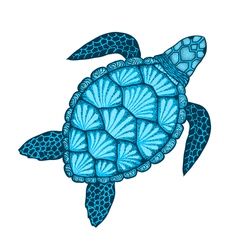 Sea turtle and shells in line art style hand drawn