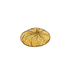 Dried Preserved Fig Fruit Hand Drawn Sketch