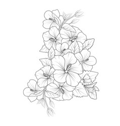 Hibiscus Flower Tattoo Drawings Coloring Page