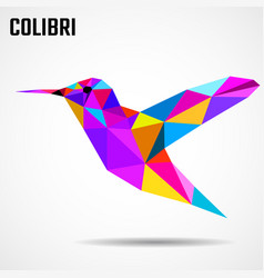 Polygonal Geometric Bird Colibri Colorful