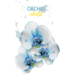 Blue Orchid Flowers Watercolor Isolated