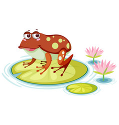 Cute Frog On Lily Pad White Background