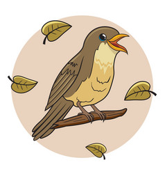 Nightingale Bird Cartoon