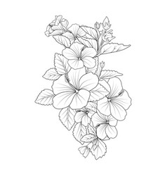 Sharon Flower Line Art Coloring Page