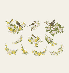 Set With Birds And Flowers