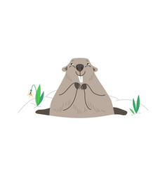 Funny Groundhog Emerging From Burrow In Spring