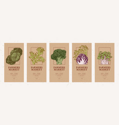 Farmers Market Flyers Cabbage Set