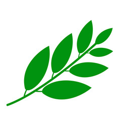 Flat Coca Plant Leaves Icon