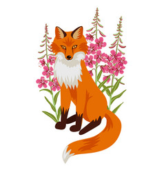 Drawing Animal Fox With Flowers