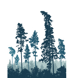 Coniferous Forest Silhouette Of Pine Trees