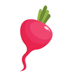 Natural Radish Icon Cartoon Food Plant