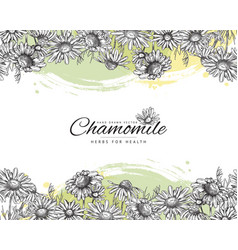 Banner With Chamomile Horizontal Border