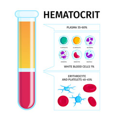 Blood Cells Plasma Infographics