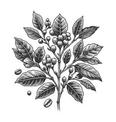 Coffee Branch Engraving Line Art