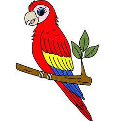 Beautiful Cartoon Parrot Tropical