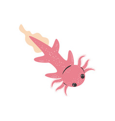 Flat Swimming Pink Axolotl