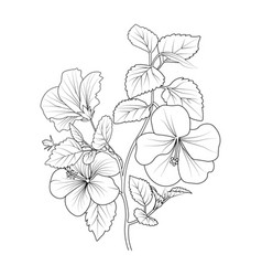 Linework Hawaiian Hibiscus Flower Tattoo Drawing