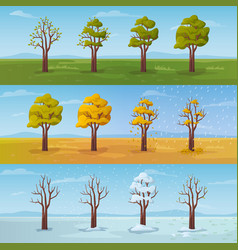 Seasons And Weather Change Tree View Set